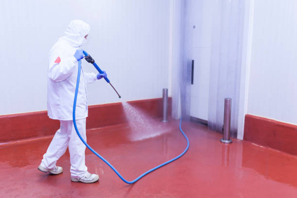 Best Parking Lot Cleaning in Nolanville, TX